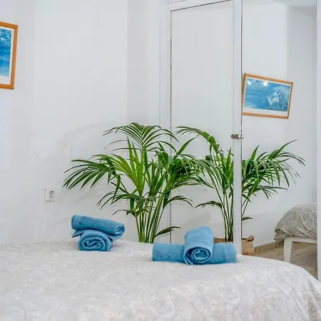 Seaside Punta Del Hidalgo